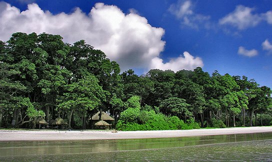 Andaman and Nicobar